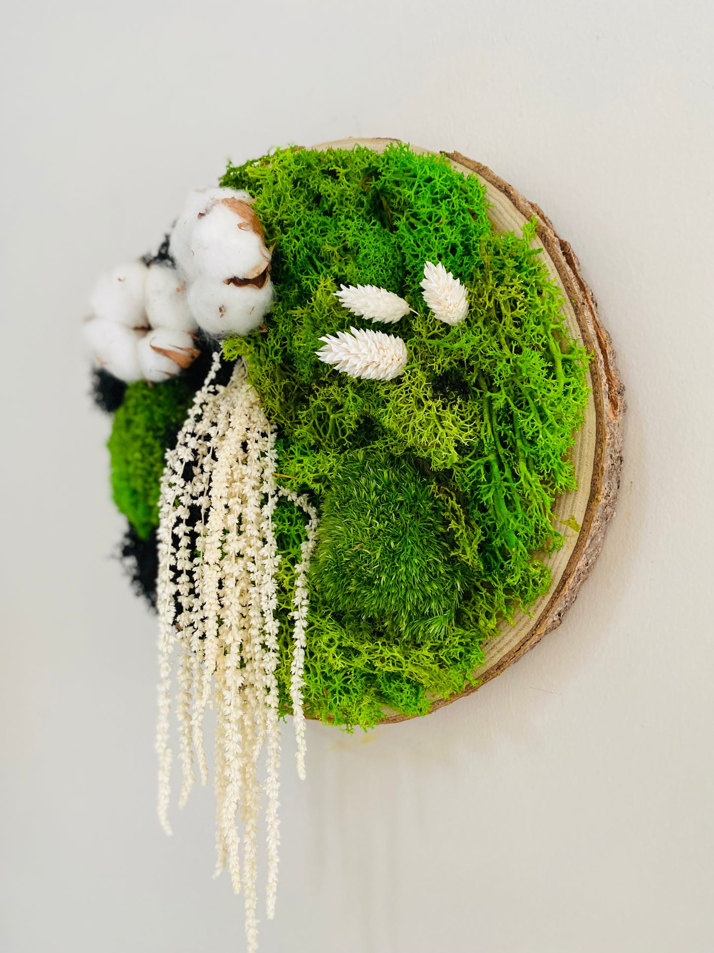 Rondin Vegetal Stabilise 'Coton Cristal'