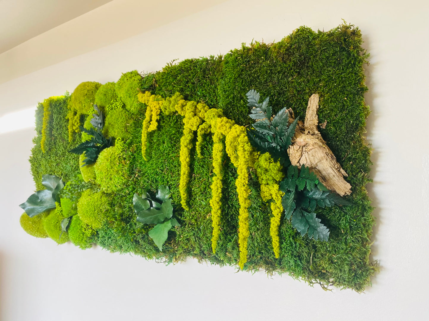 Tableau Vegetal Stabilise Forest