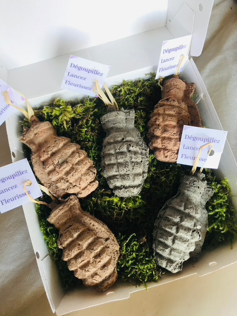 Bombe de Graines - Grenade a Fleurs