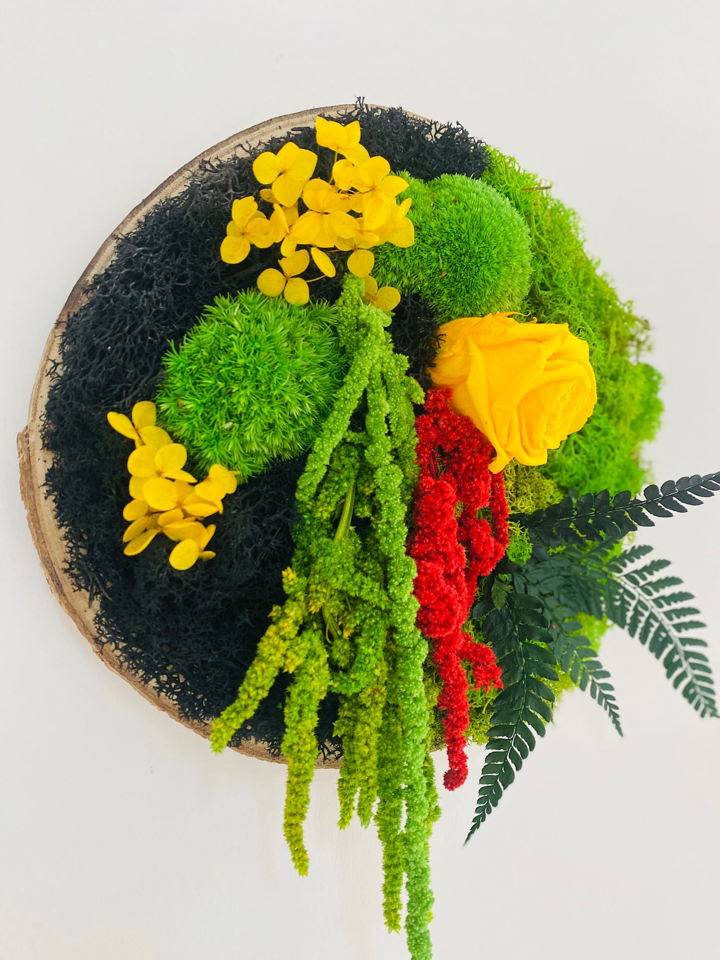 Rondin Vegetal Stabilise 'Eclat'