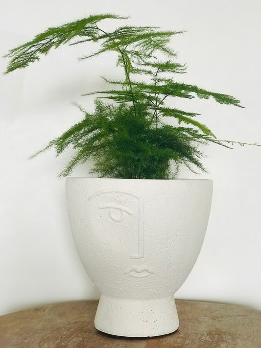 Cache-pot Demi Visage Zen evase