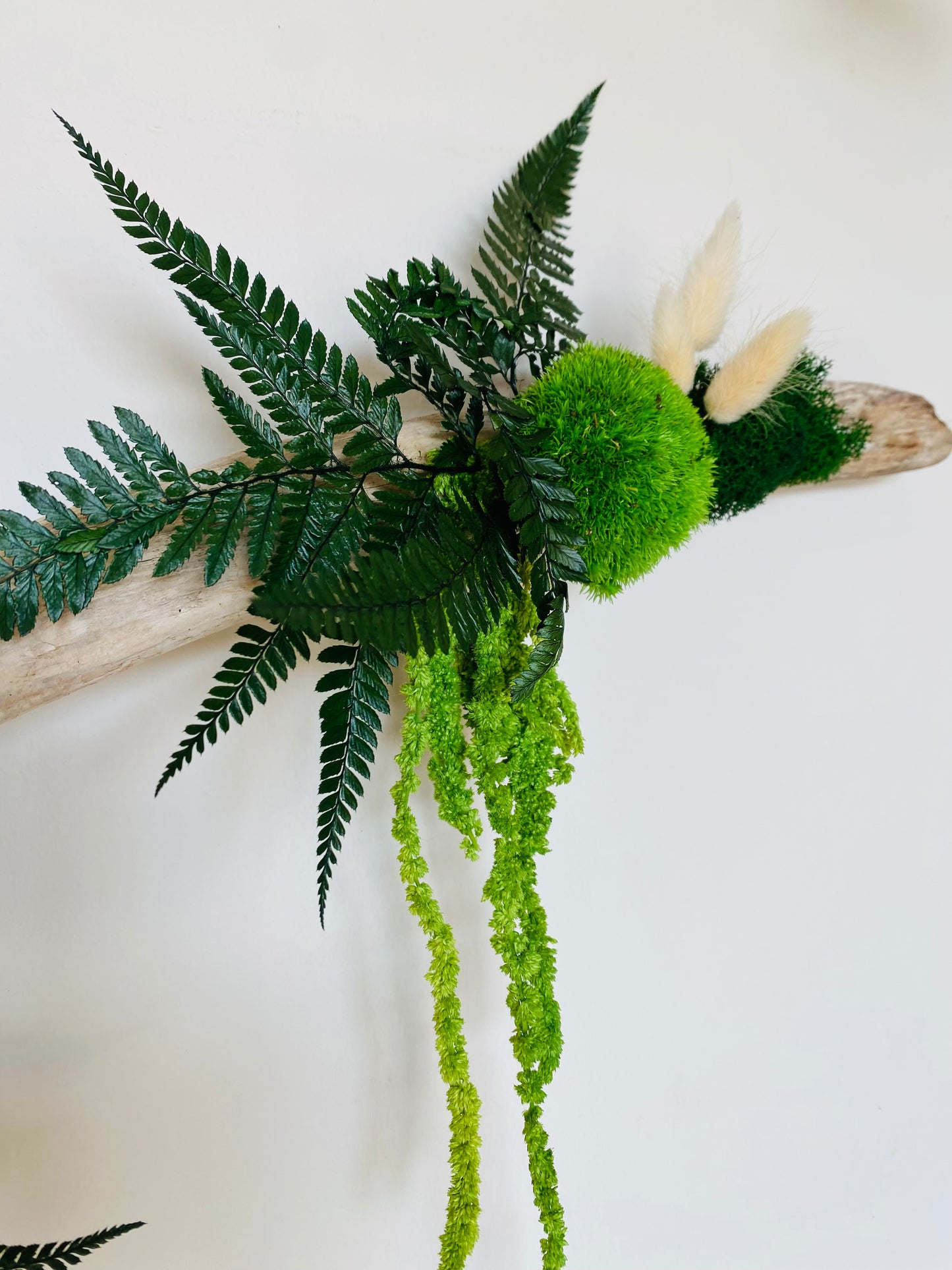 Rivage Végétal 100cm, vue d'ensemble 9 variétés de plantes stabilisées, fait main Lyon