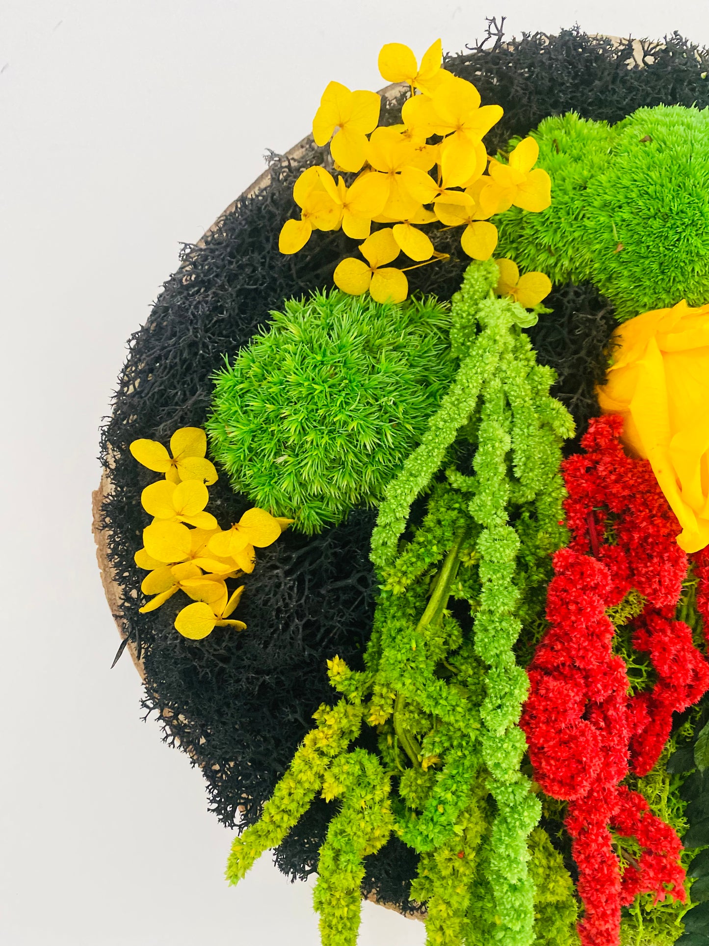 Rondin Vegetal Stabilise 'Eclat'