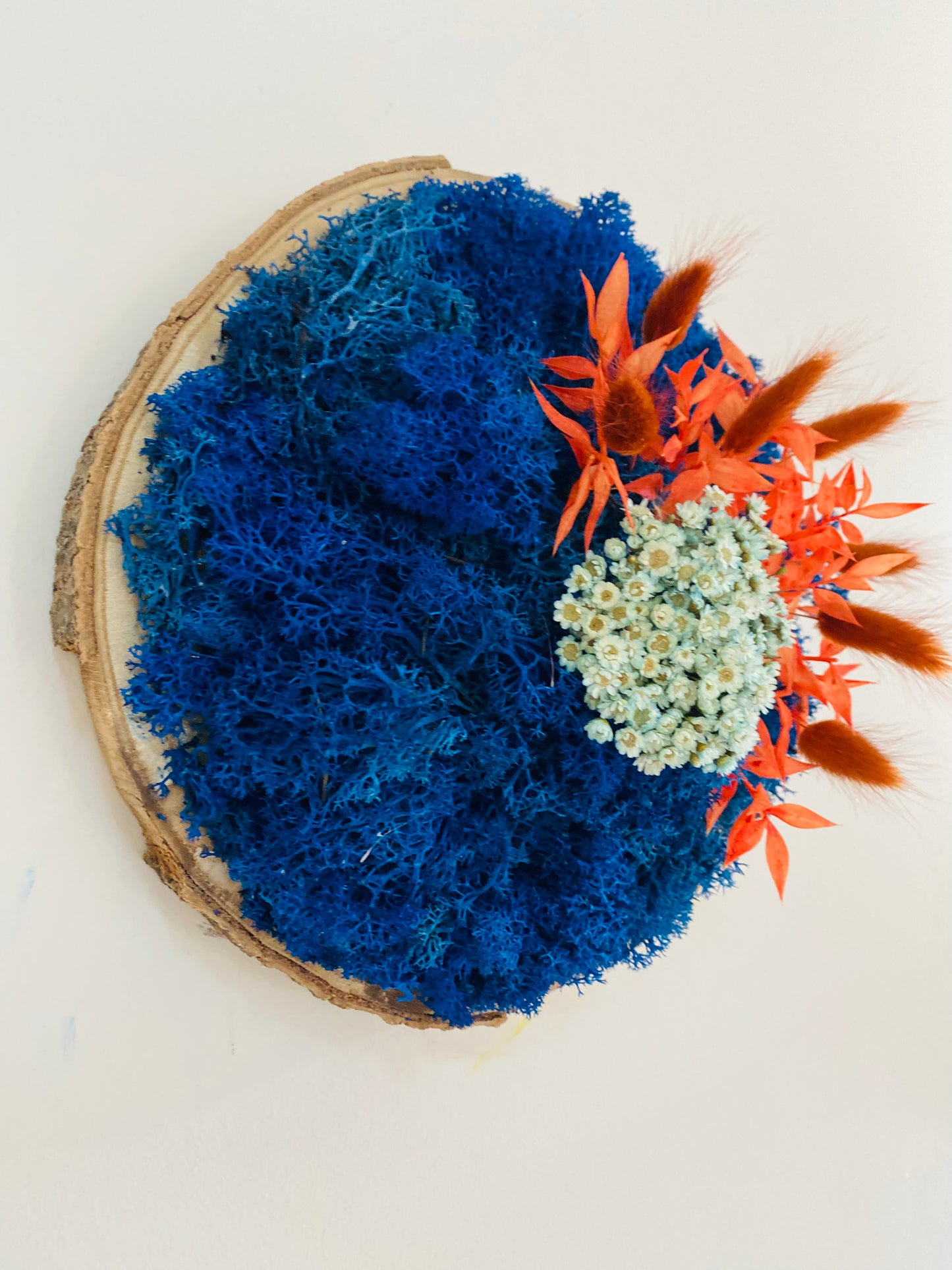 Rondin Vegetal Stabilise 'Azur'