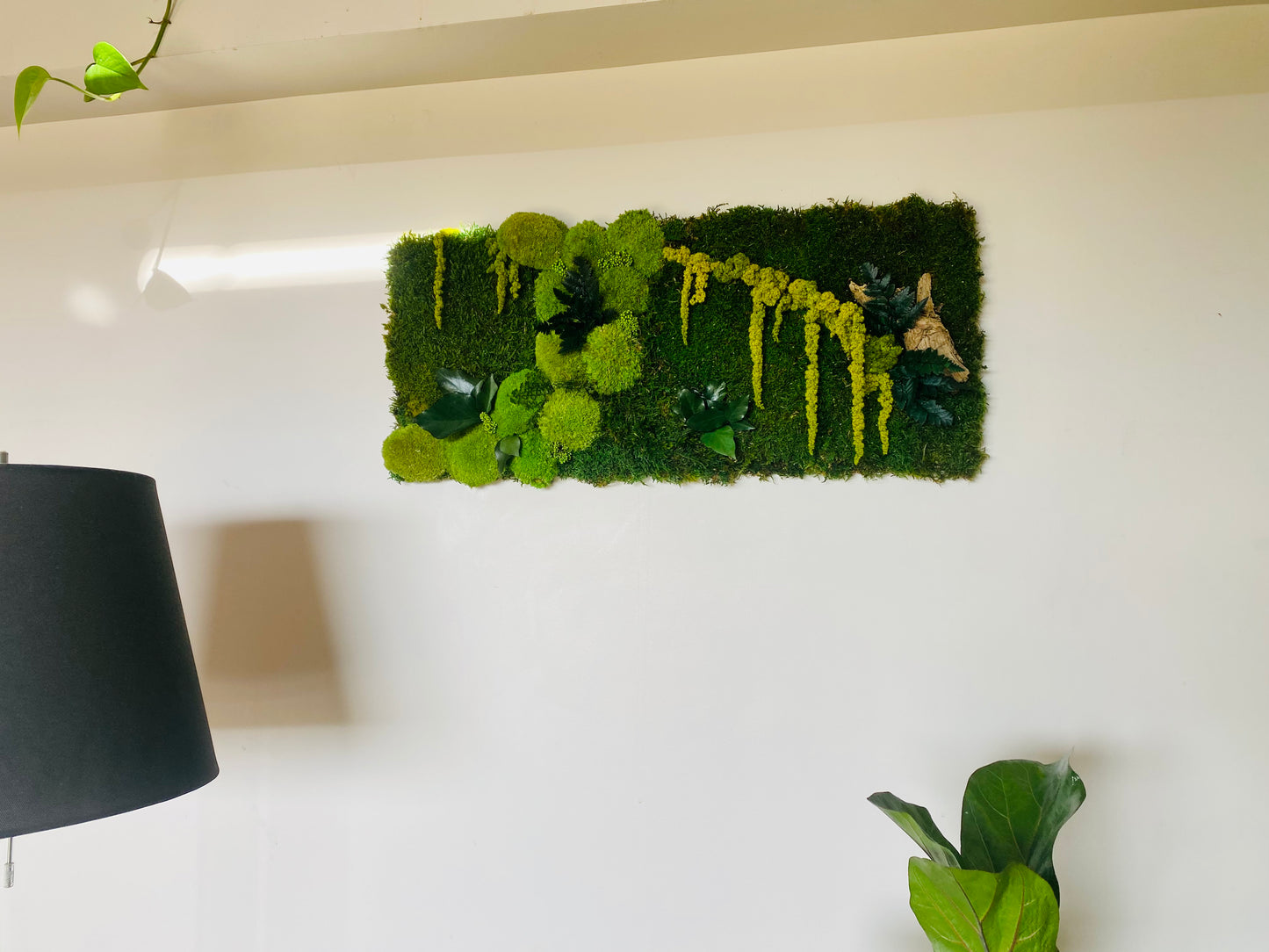 Tableau Vegetal Stabilise Forest