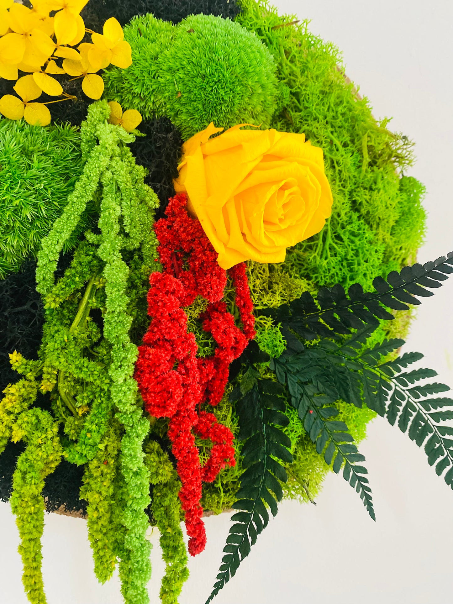 Rondin Vegetal Stabilise 'Eclat'