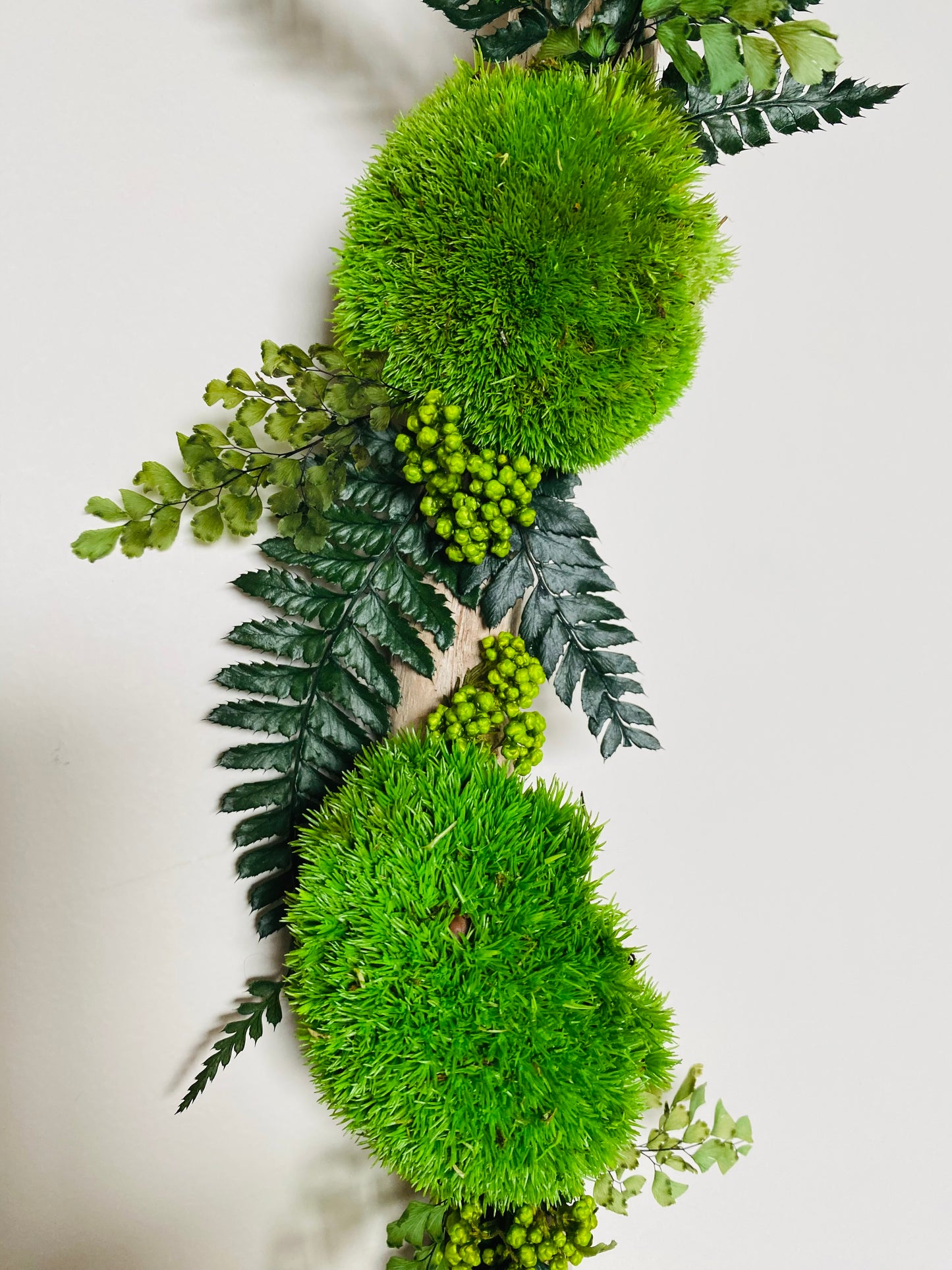 Rivage Végétal Décoration végétale stabilisée en bois flotté 60cm