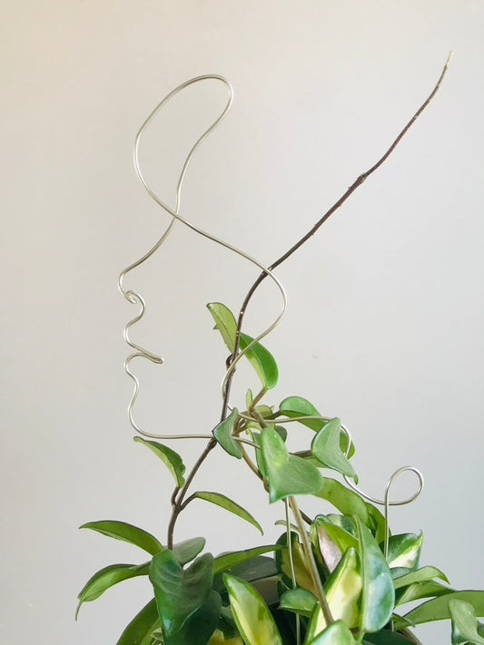 Tuteur Visage Femme Design Minimalisme