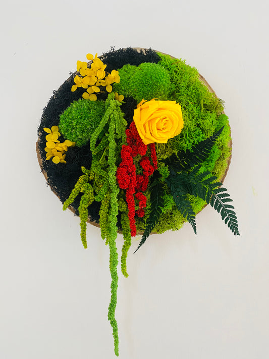 Rondin Vegetal Stabilise 'Eclat'