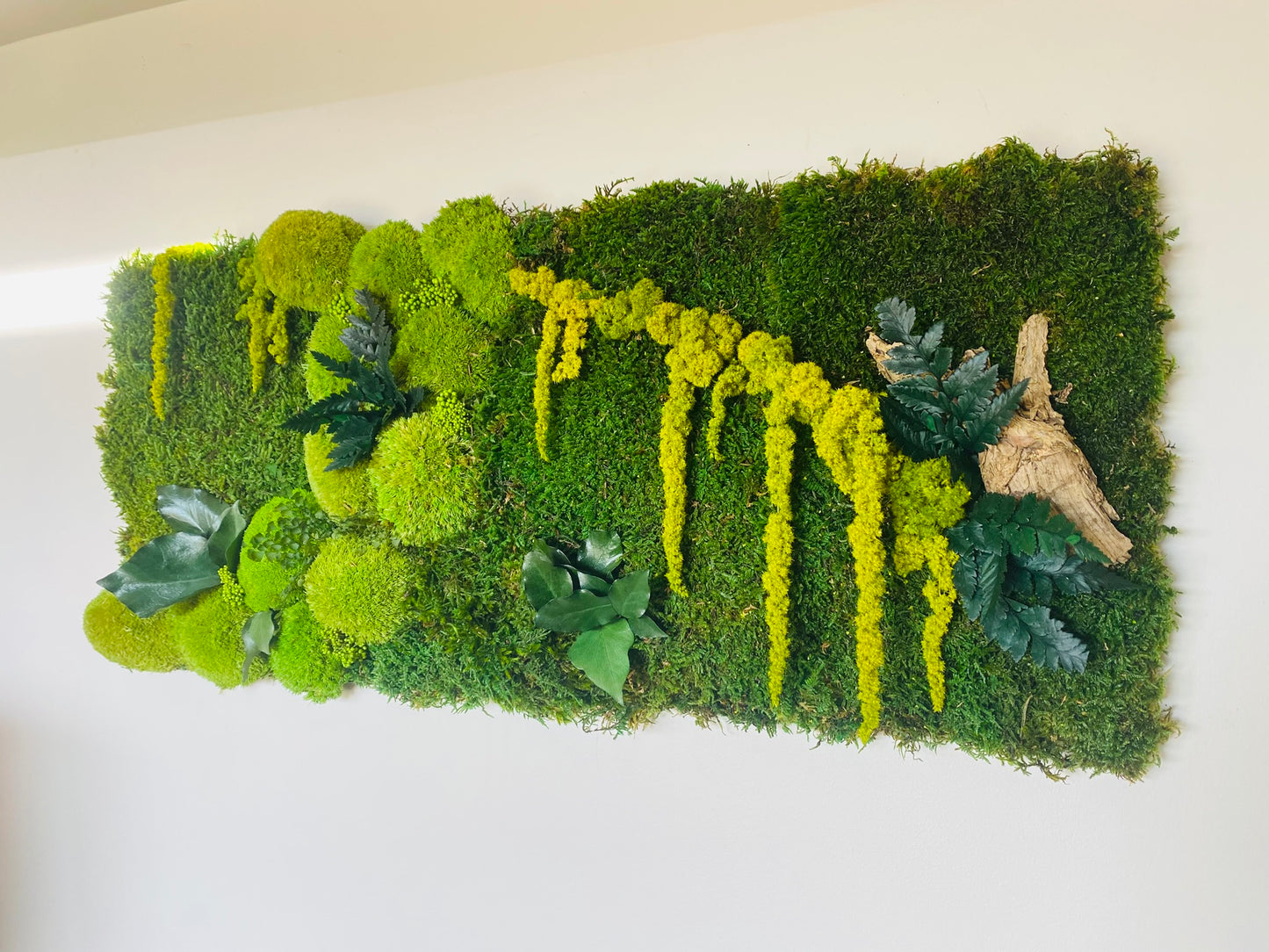 Tableau Vegetal Stabilise Forest