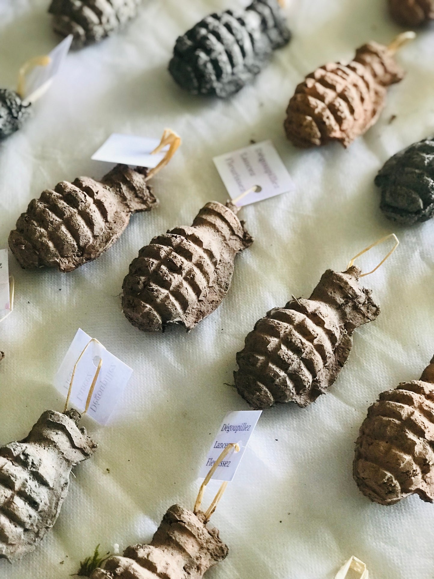 Bombe de Graines - Grenade a Fleurs