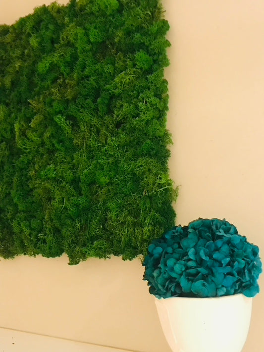 Panneau de Mousse Vegetale Stabilisee 50X50cm - Osez Planter Ca Pousse