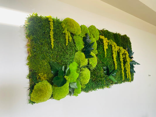 Tableau Vegetal Stabilise Forest