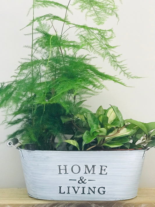 Cache-pot Home & Living inox ovale