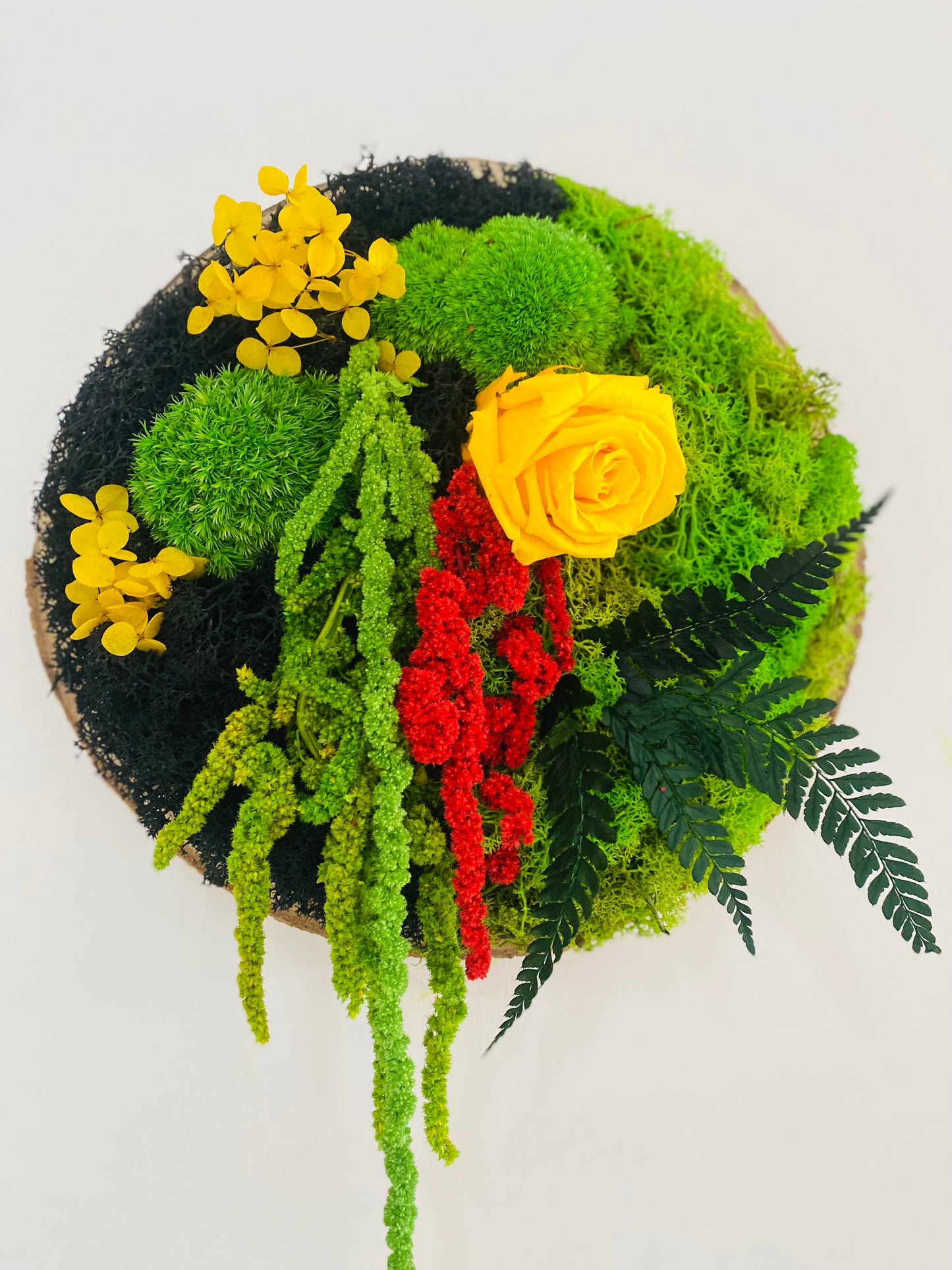 Rondin Vegetal Stabilise 'Eclat'