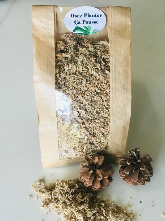 Sphaigne - Mousse vegetale Sphagnum moss