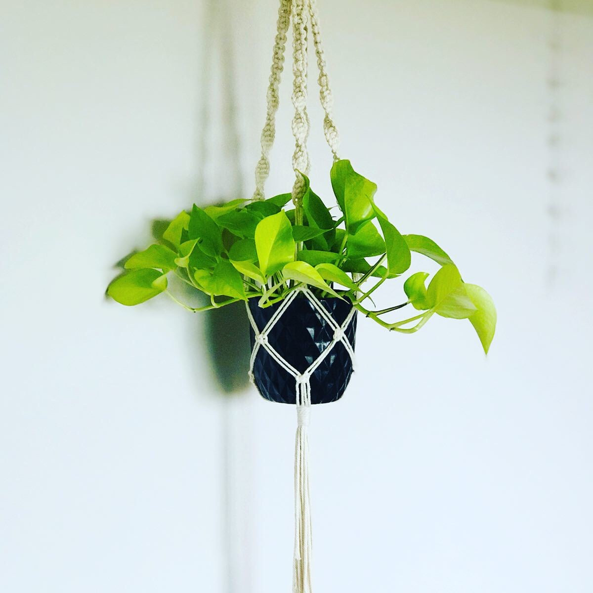 Suspension Plante Macrame