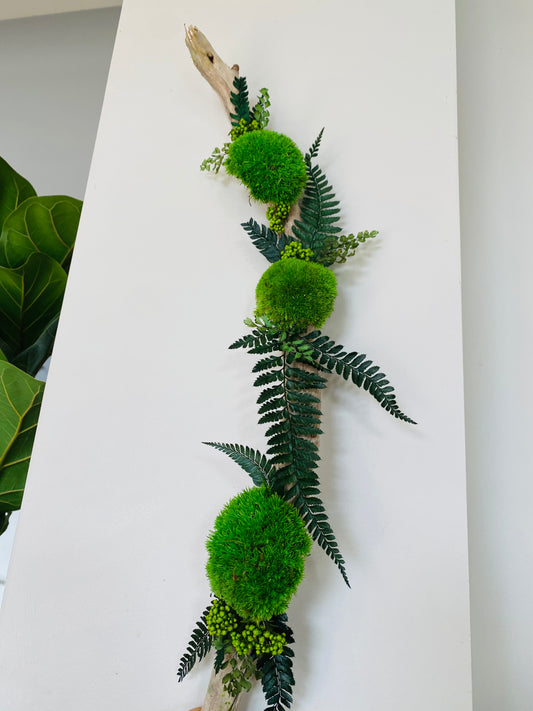 Rivage Végétal Décoration végétale stabilisée en bois flotté 60cm - Osez Planter Ca Pousse