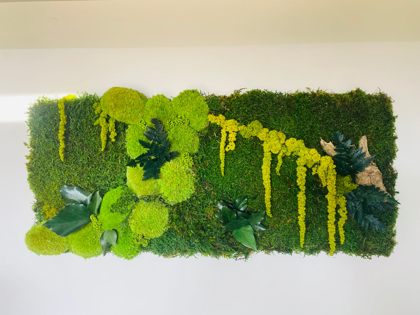 Tableau Vegetal Stabilise Forest