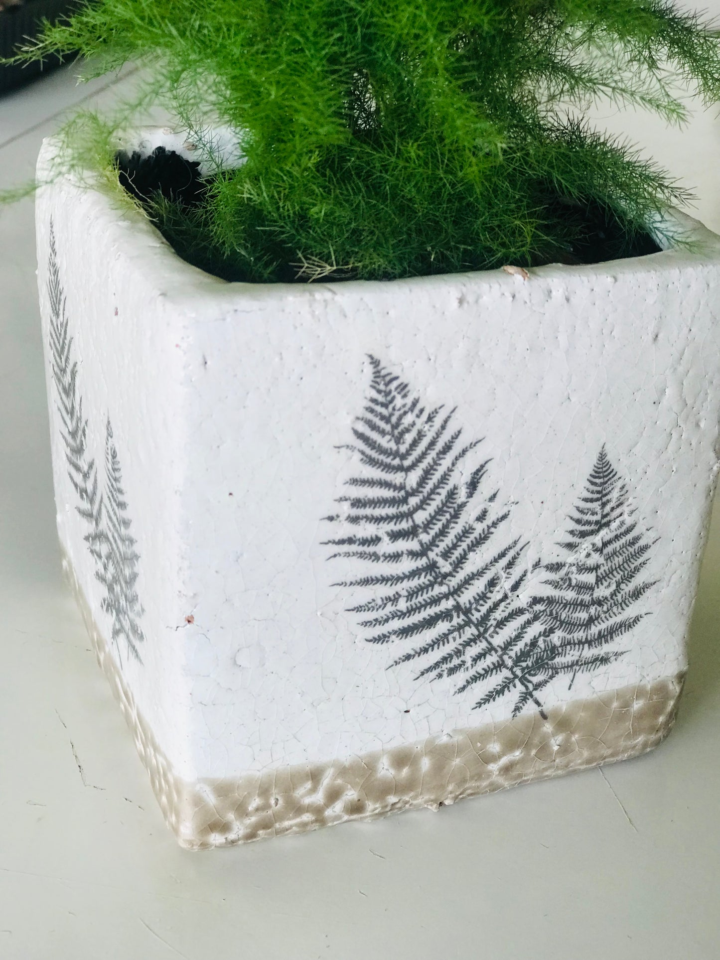 Cache-pot carre Fougere Blanc