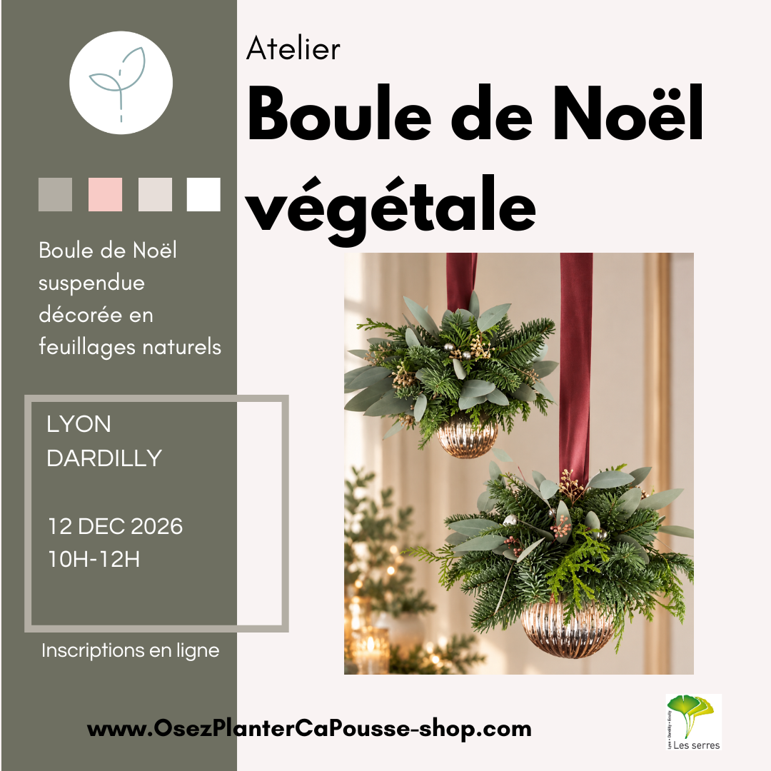 Atelier Boule de Noël Végétale