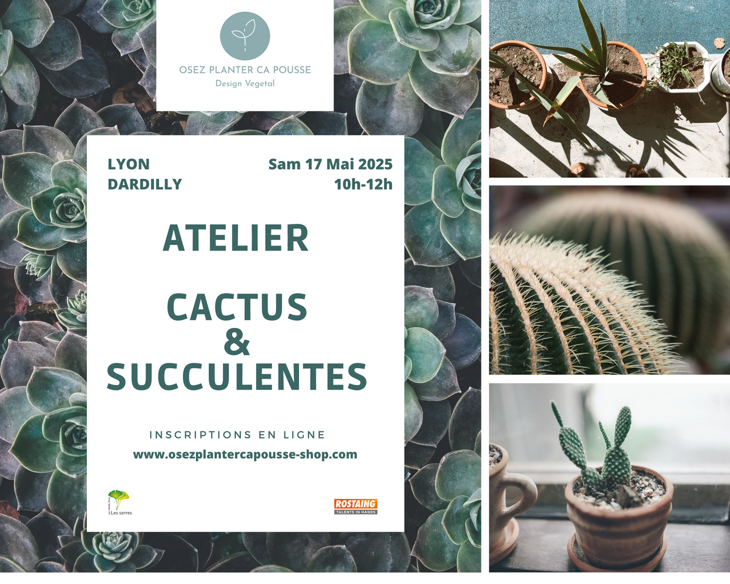 Atelier CACTUS & SUCCULENTES