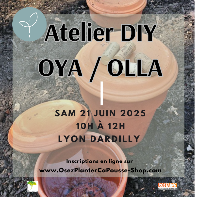 Atelier DIY OYA/OLLA Poterie d'arrosage automone