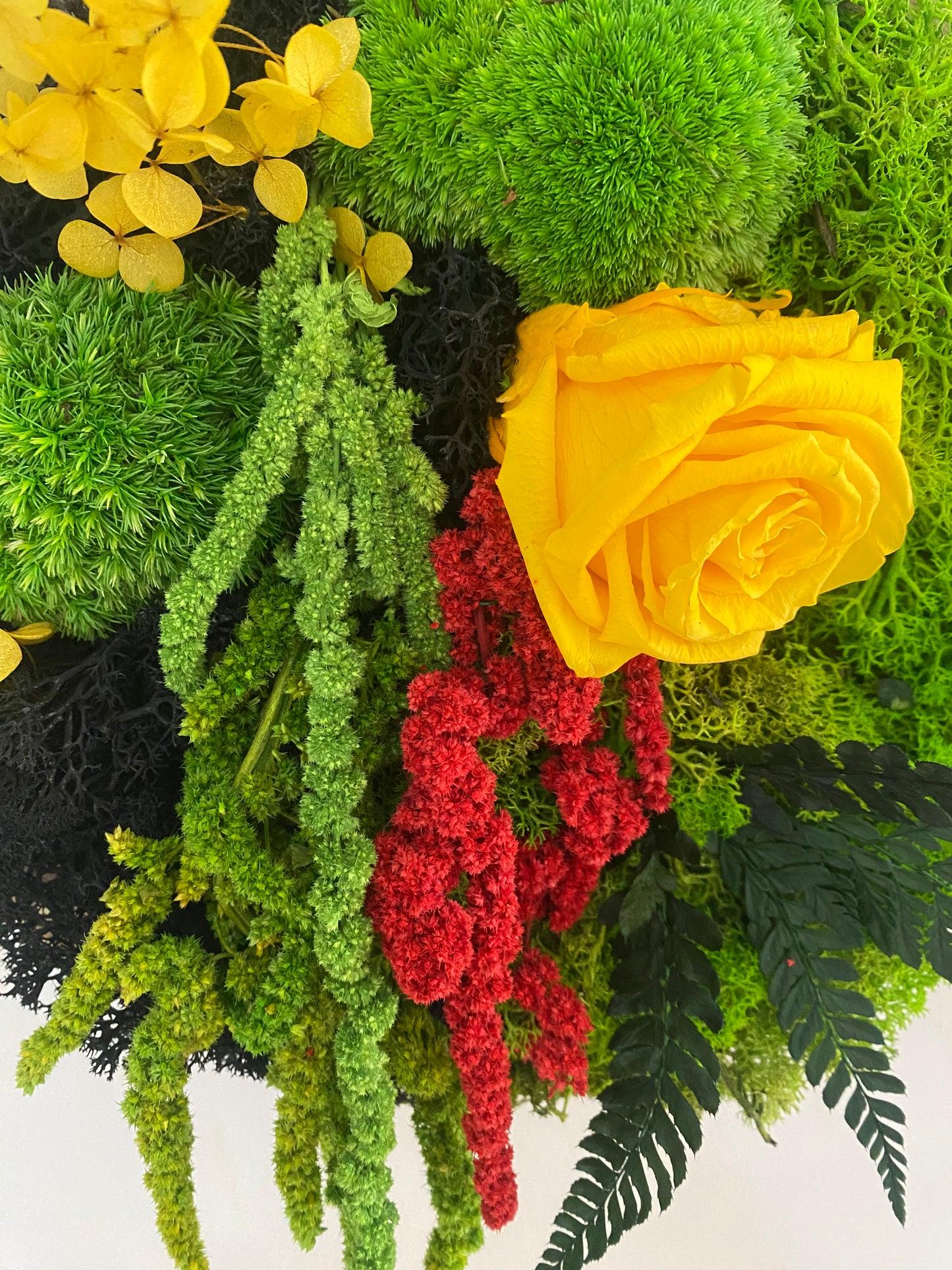 Rondin Vegetal Stabilise 'Eclat'