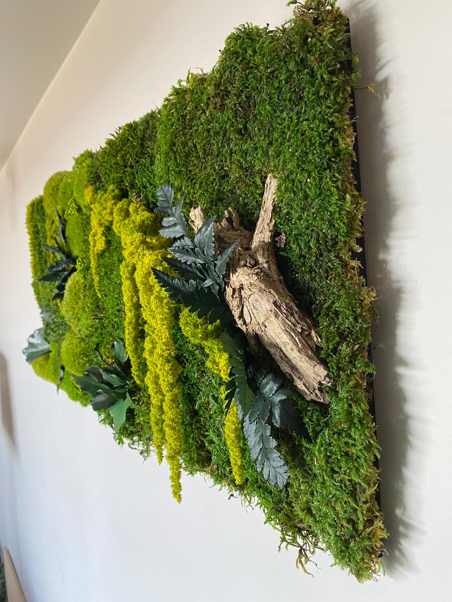 Tableau Vegetal Stabilise Forest