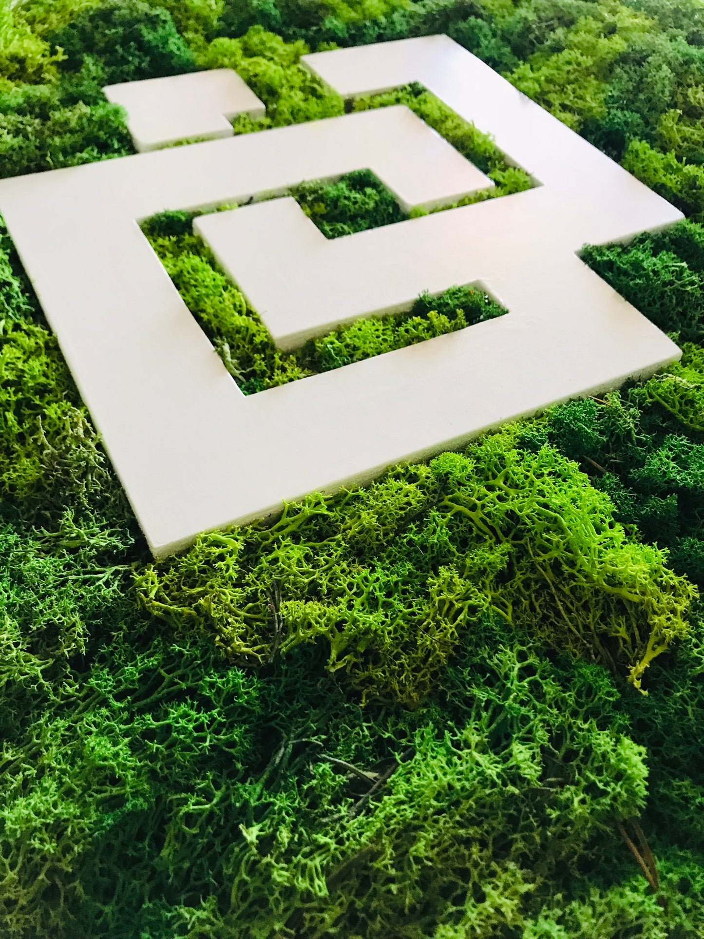 Logo Vegetal