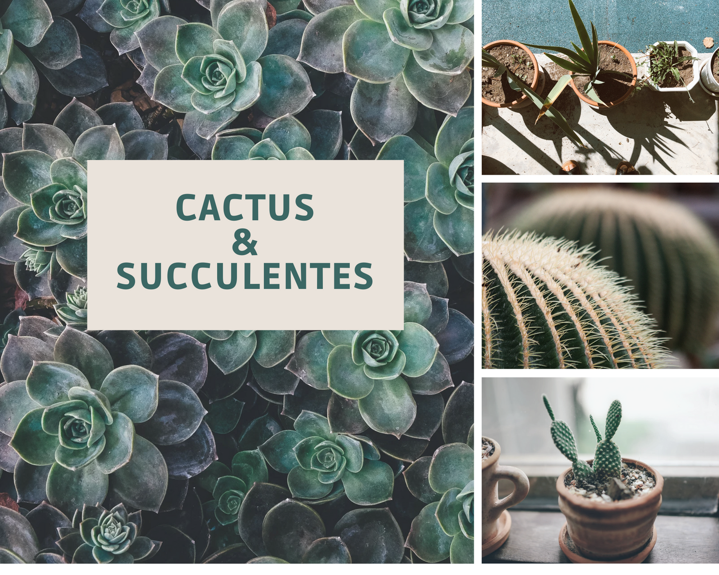 Atelier Végétal entre Amis à la Maison