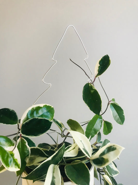 Tuteur Sapin Design Minimalisme