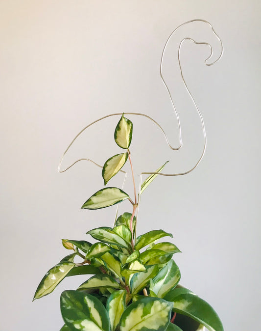 Tuteur Flamand Rose Design Minimalisme