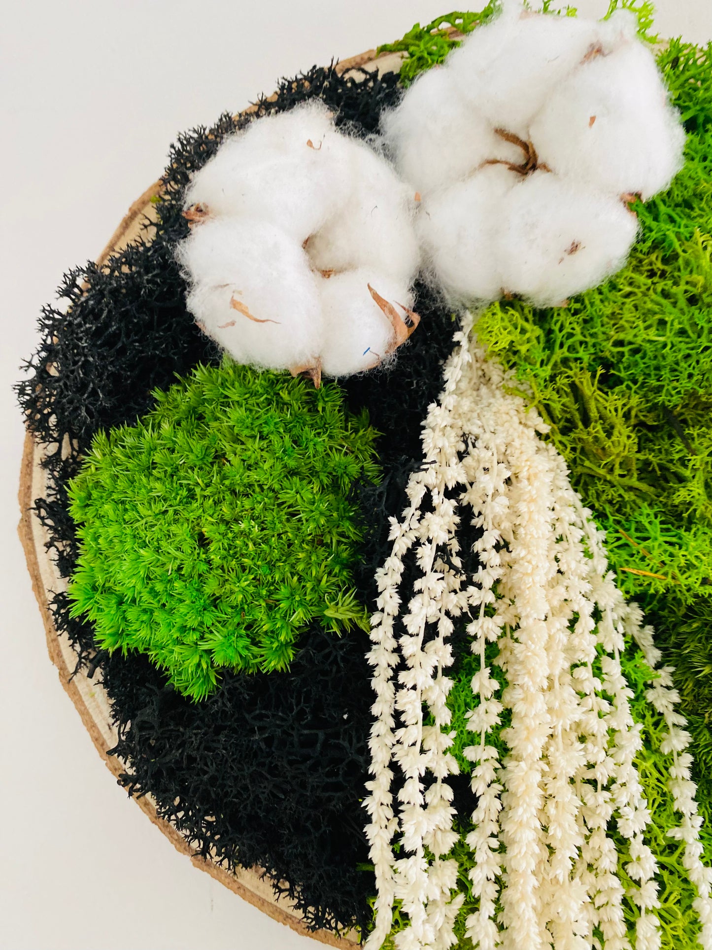 Rondin Vegetal Stabilise 'Coton Cristal'