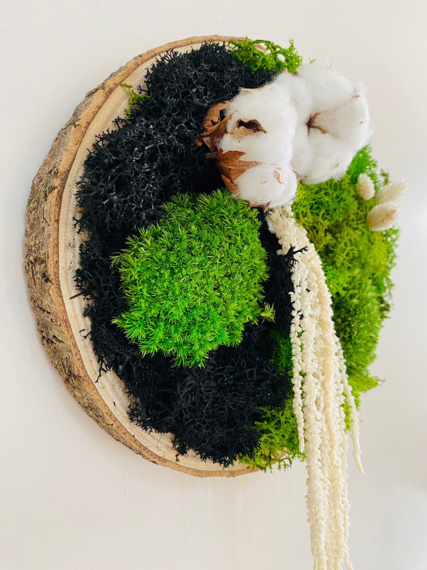 Rondin Vegetal Stabilise 'Coton Cristal'