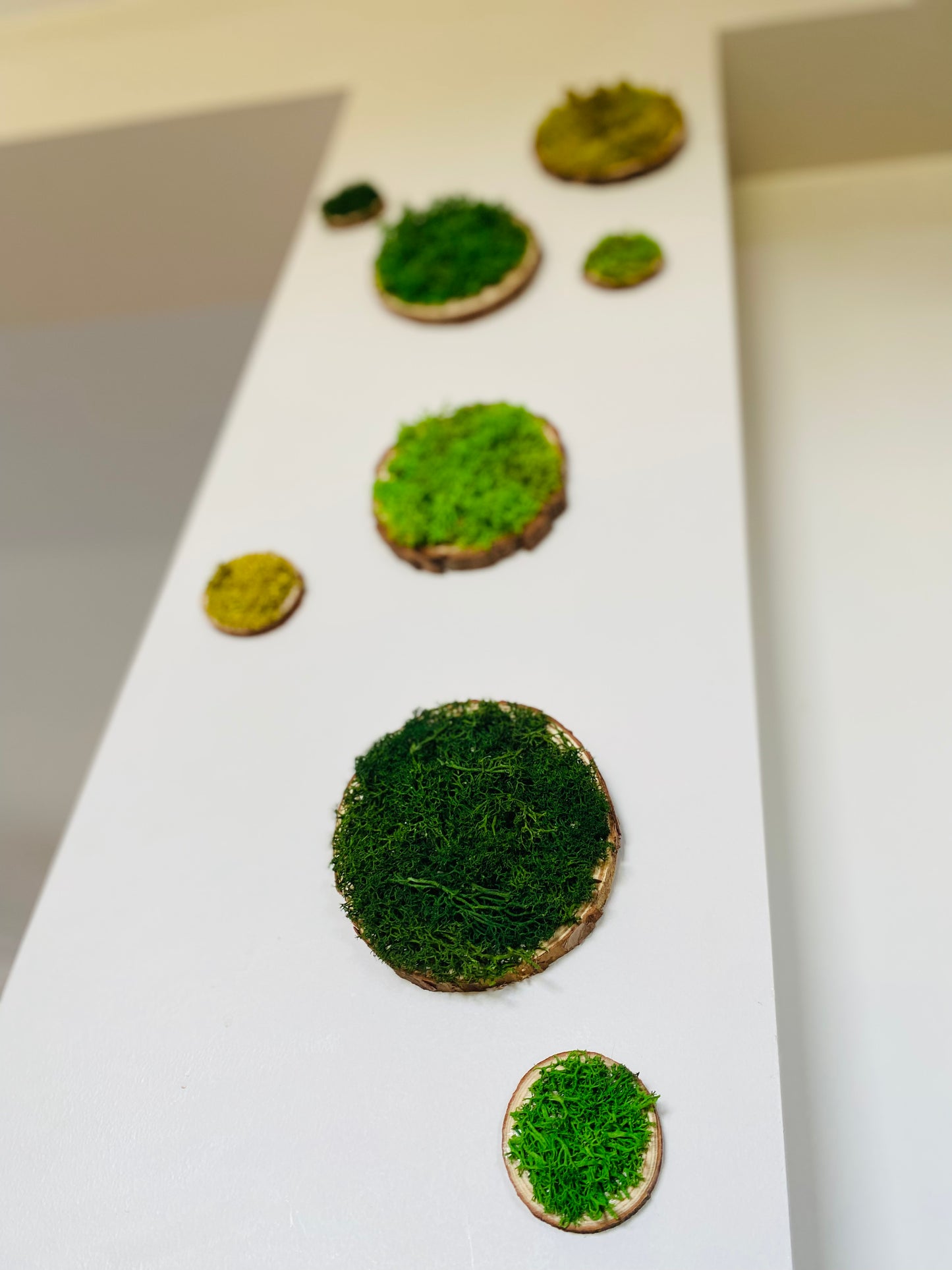 Rond de bois vegetal