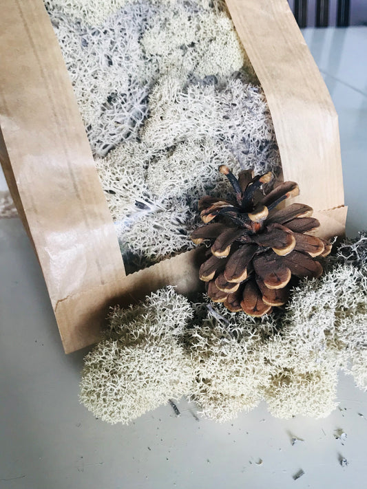 Mousse stabilisee en vrac Creme