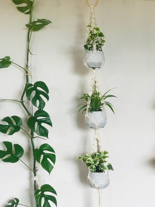 Macramé Triple pour baby plantes