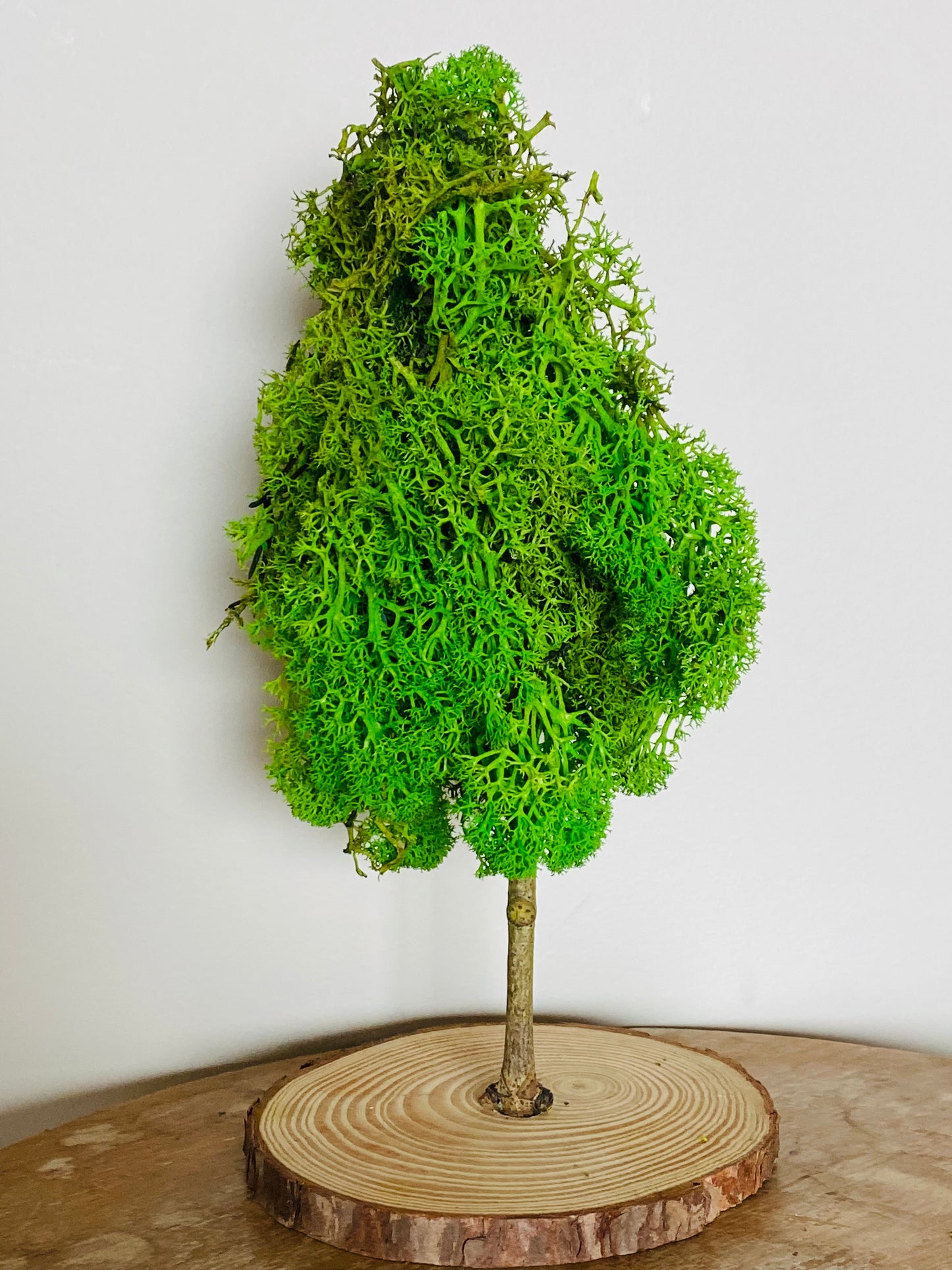 Sapin de Noel - Arbre de Noel stabilisé