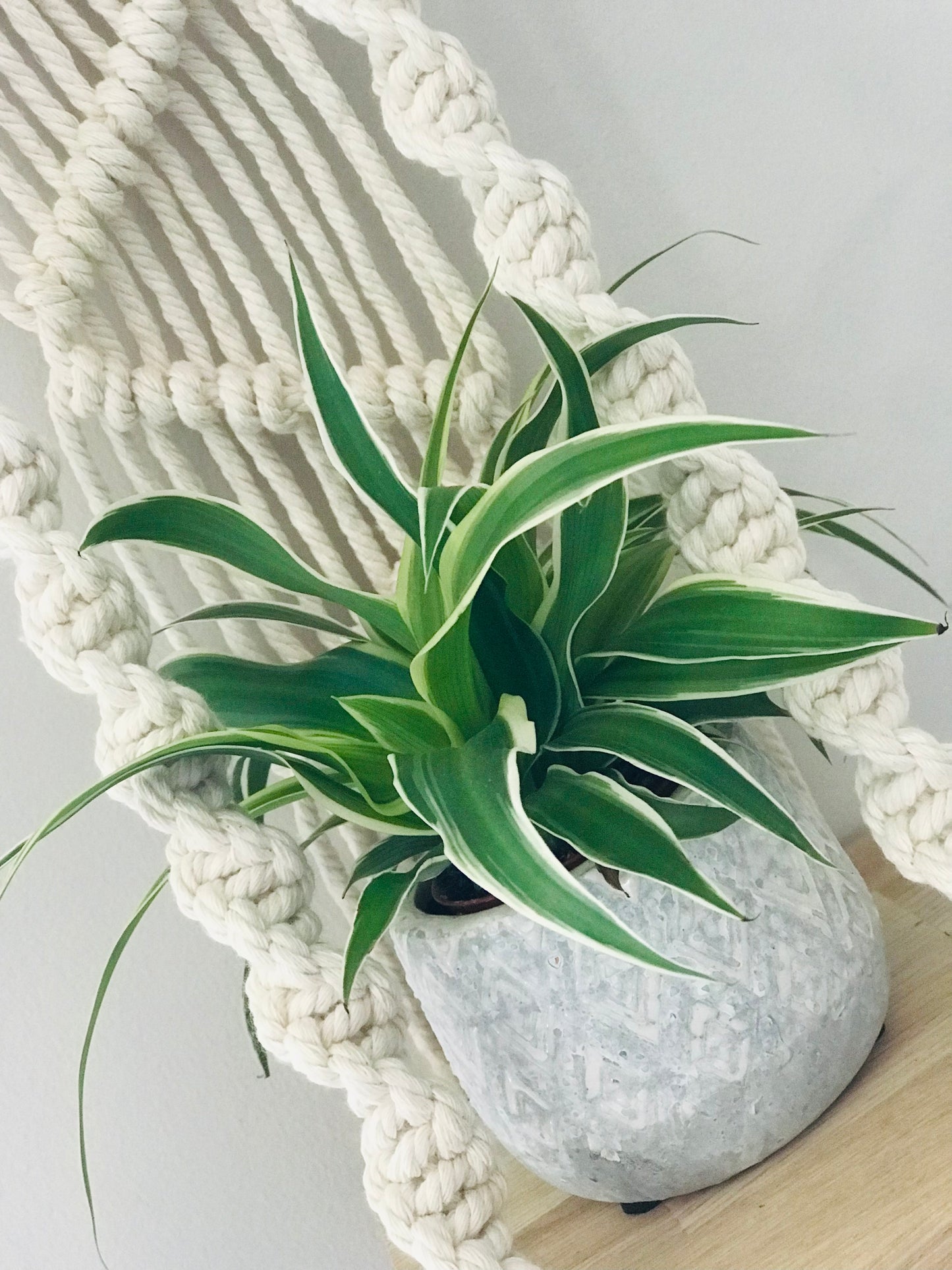 Plantagere Macrame Beige
