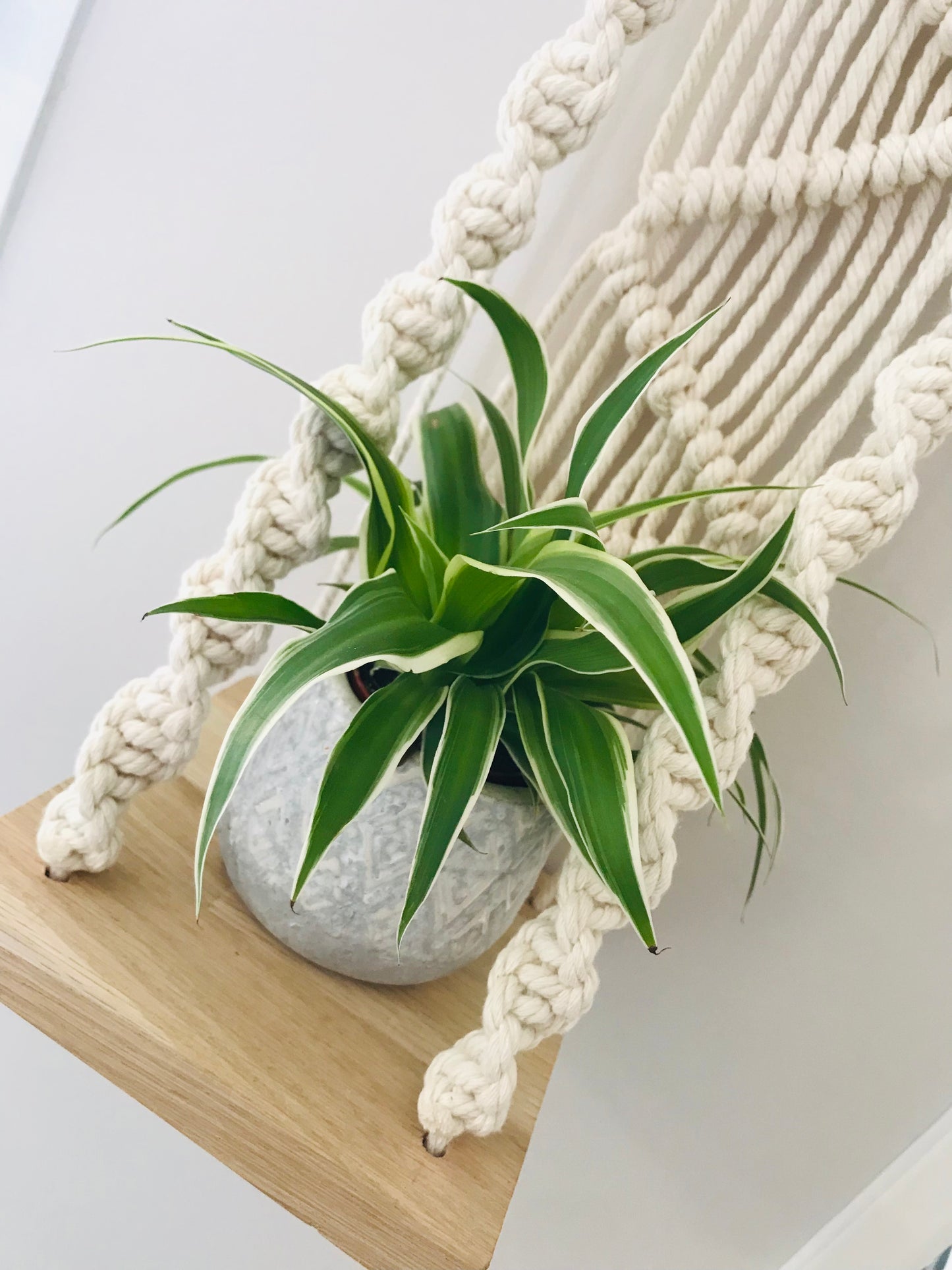 Plantagere Macrame Beige