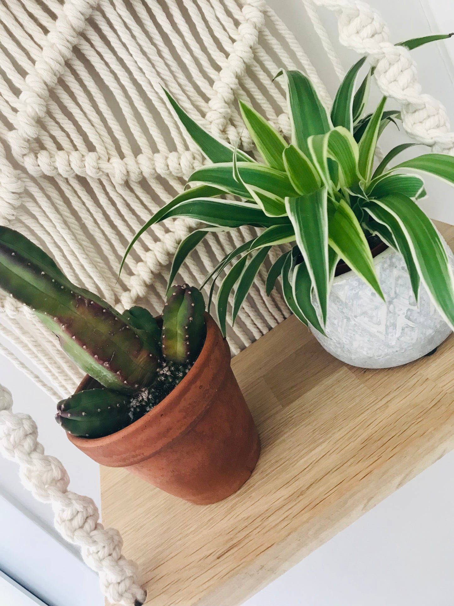 Plantagere Macrame Beige Double
