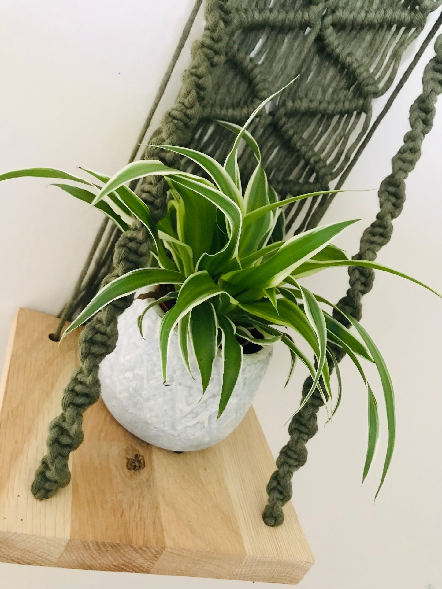 Plantagere Macrame Vert Eucalyptus