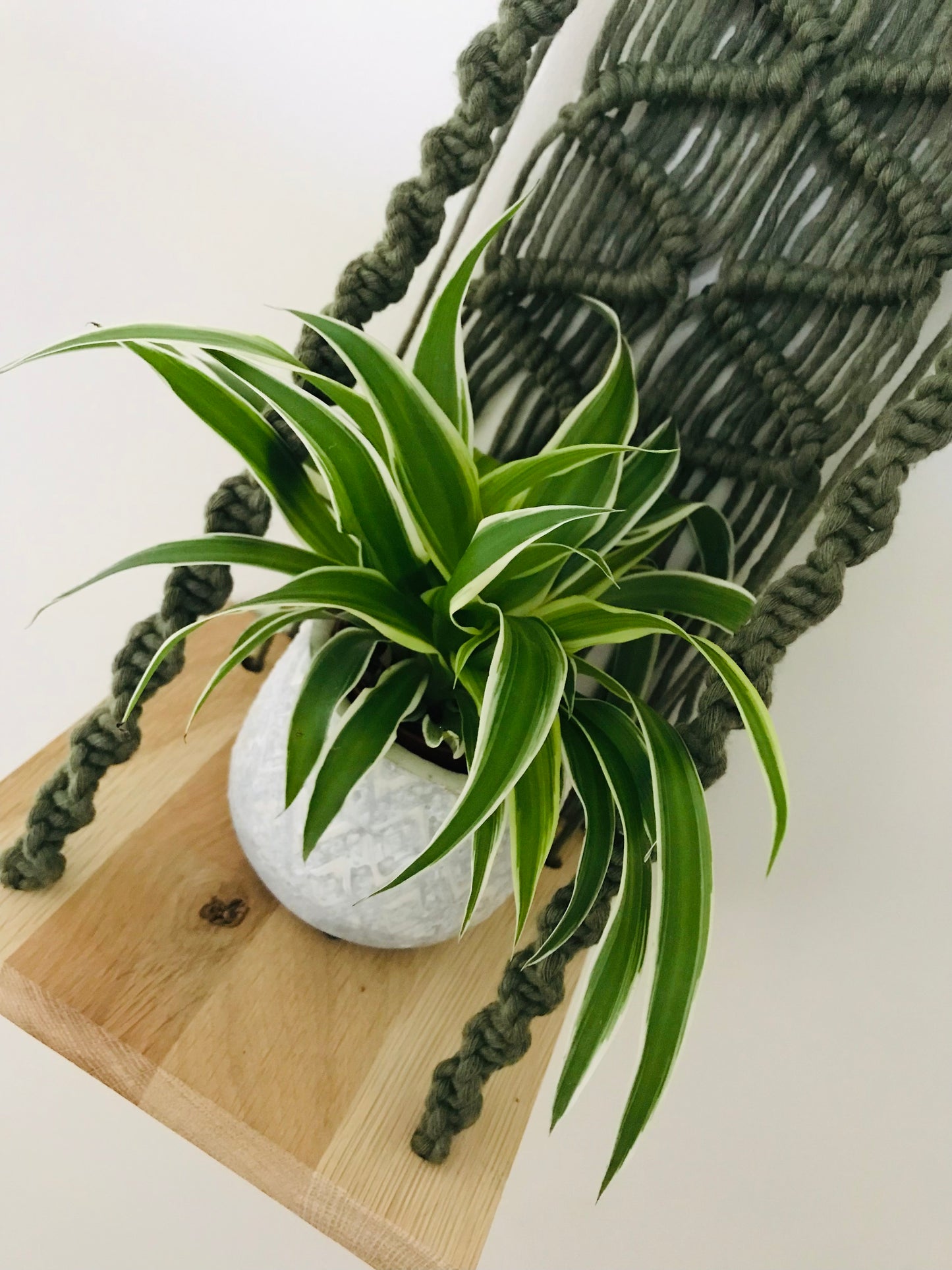 Plantagere Macrame Vert Eucalyptus