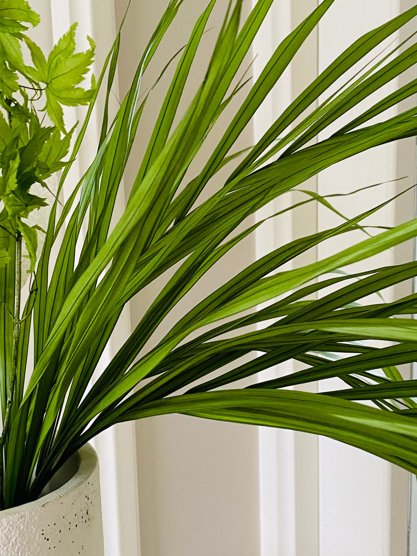 Bouquet Feuillage Stabilise JungleLover
