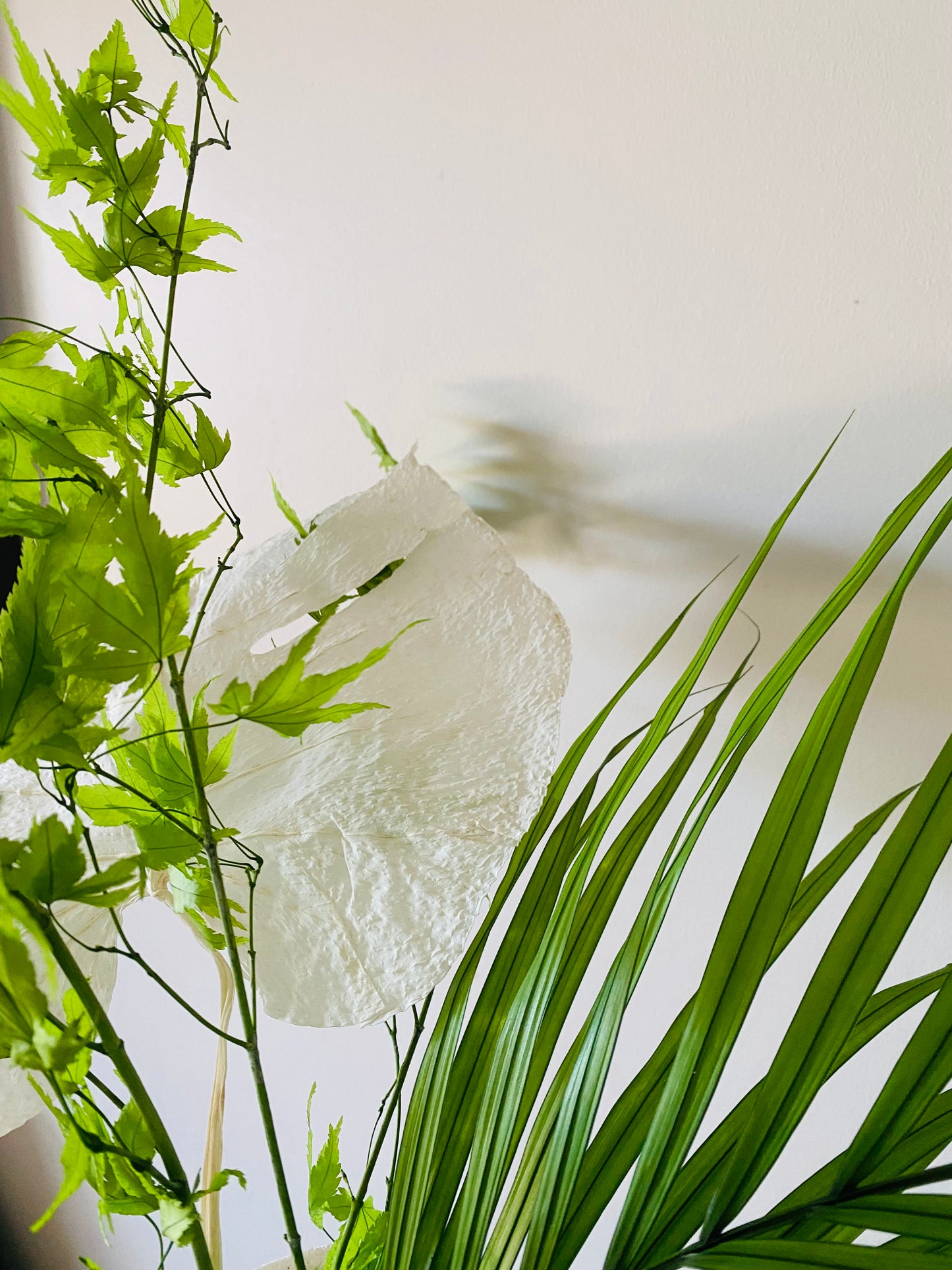 Bouquet Feuillage Stabilise JungleLover