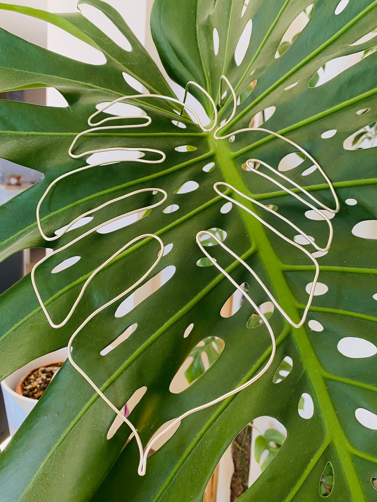 Tuteur Monstera Design Minimalisme