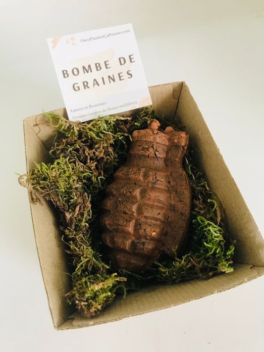 Bombe de Graines - Grenade a Fleurs