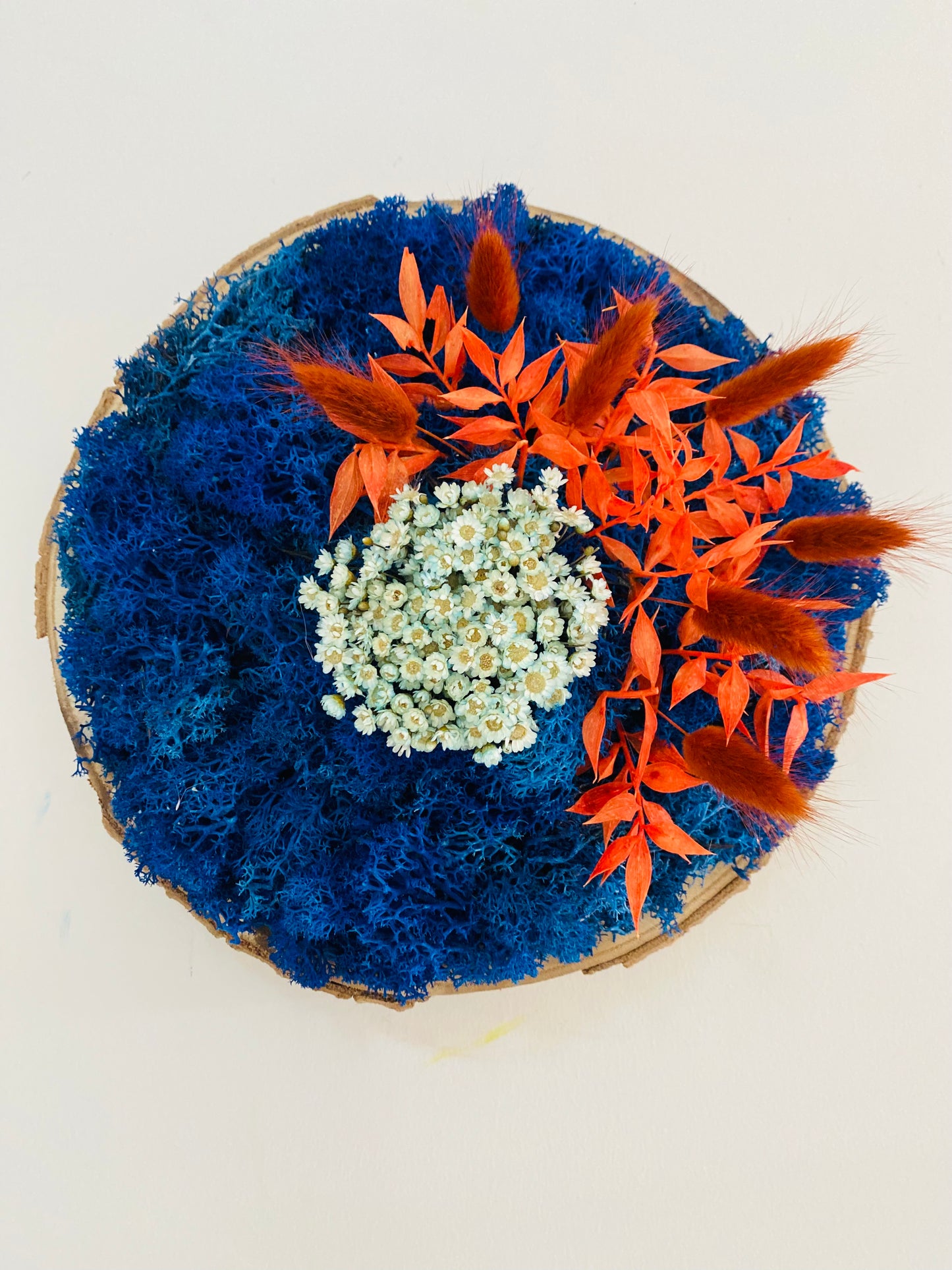 Rondin Vegetal Stabilise 'Azur'
