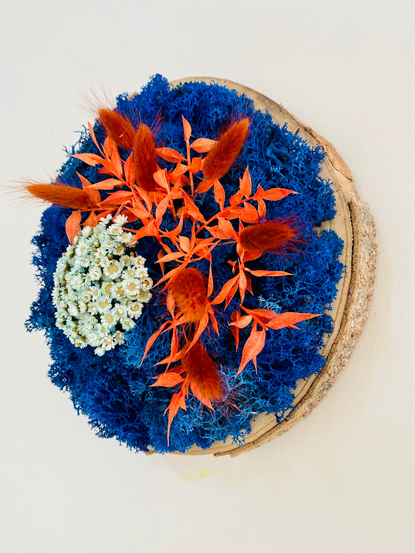 Rondin Vegetal Stabilise 'Azur'
